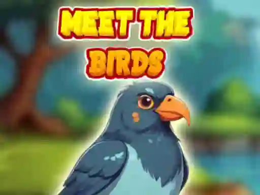 खेल Meet The Birds ऑनलाइन