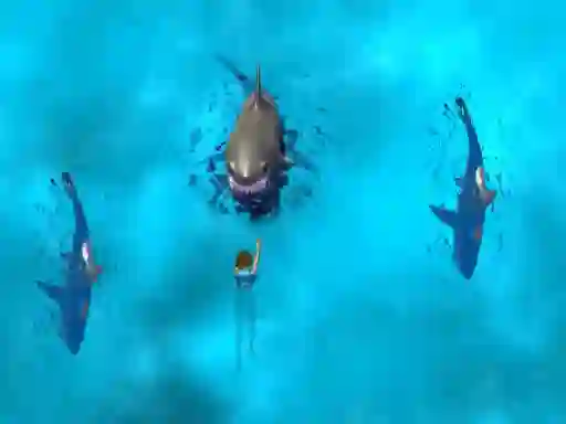 खेल Avoid the Sharks ऑनलाइन