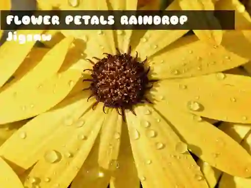 खेल Flower Petals Raindrop Jigsaw ऑनलाइन
