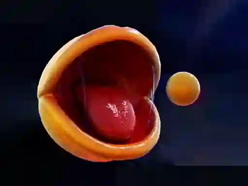 खेल Pac-Man ऑनलाइन