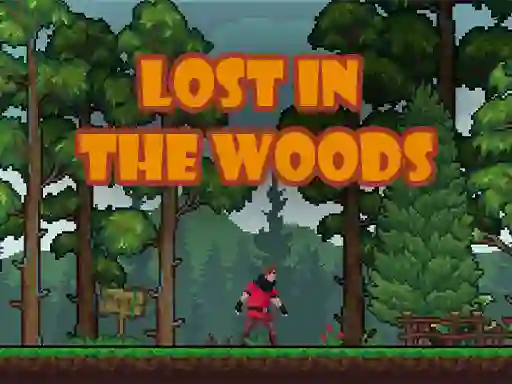 खेल Lost in the Woods ऑनलाइन