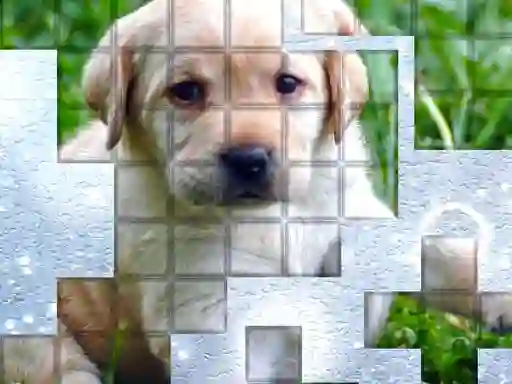 खेल PicPu Dog ऑनलाइन