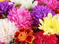 खेल 2019 मातृ दिवस पहेली  ऑनलाइन