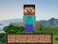 खेल Minecraft जीवन रक्षा  ऑनलाइन